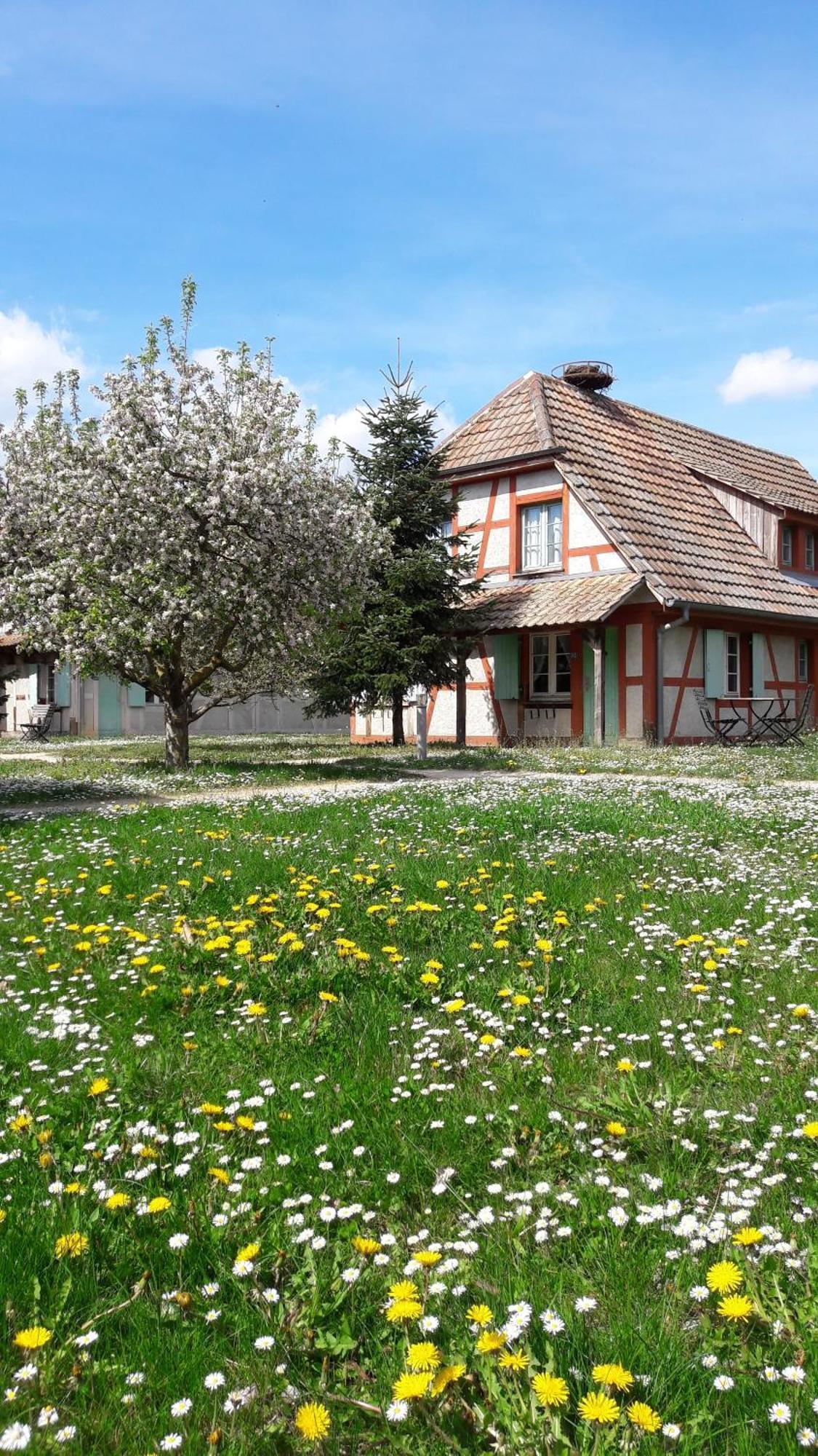 Hotel Les Loges De L'Ecomusee D'Alsace Ungersheim Zewnętrze zdjęcie