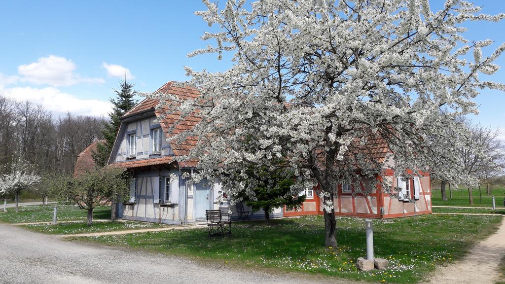 Hotel Les Loges De L'Ecomusee D'Alsace Ungersheim Zewnętrze zdjęcie